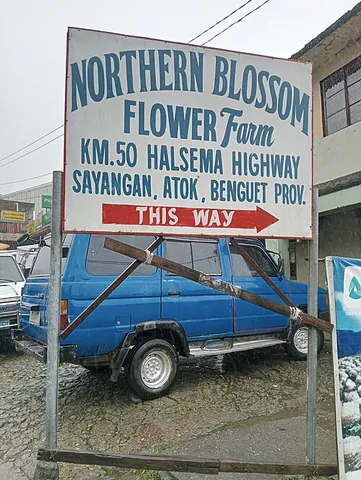 sayangan: a sitio in the barangay of Paoay, Atok, Benguet, Philippines