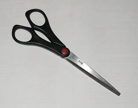 scissor: one blade of a pair of scissors