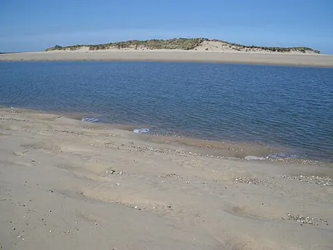 scolt head island: an island of Burnham Norton civil parish, King's Lynn and West Norfolk borough, Norfolk, England