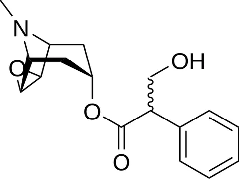 scopolamine: a poisonous alkaloid C₁₇H₂₁NO₄ similar to atropine that is found in various solanaceous plants and...