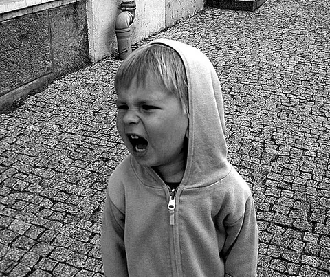 scream: a loud, emphatic, exclamation of extreme emotion, especially horror, fear, excitement, or anger; it...