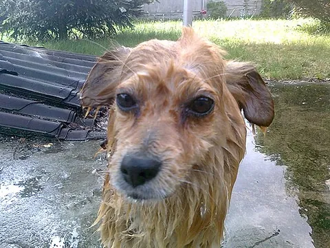 scrunkly: cute in a quirky, scruffy, or dishevelled way