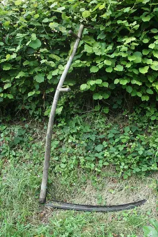 scythe: an instrument for mowing grass, grain, etc. by hand, composed of a long, curving blade with a sharp...