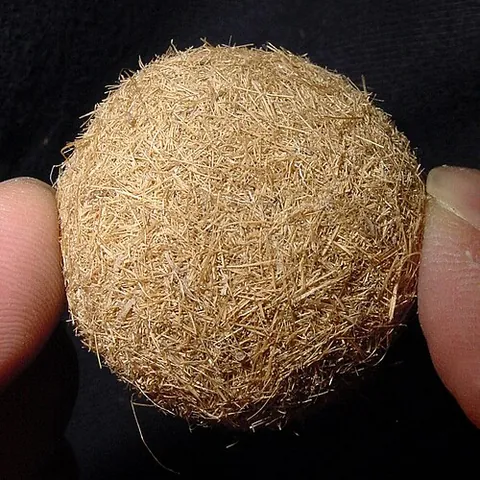 sea ball: a clump of seaweed produced by the action of the waves
