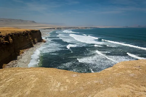 sea: a large body of salt water