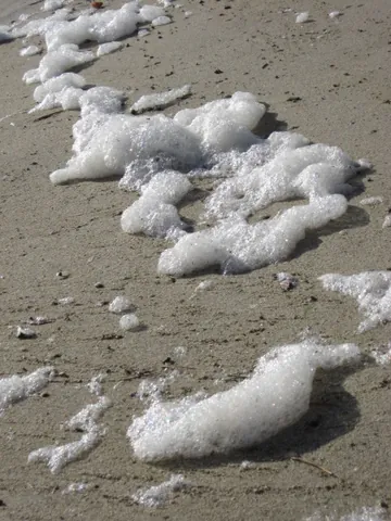 seafoam: a foam created by the agitation of seawater
