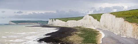 seashore: the coastal land bordering a sea or an ocean