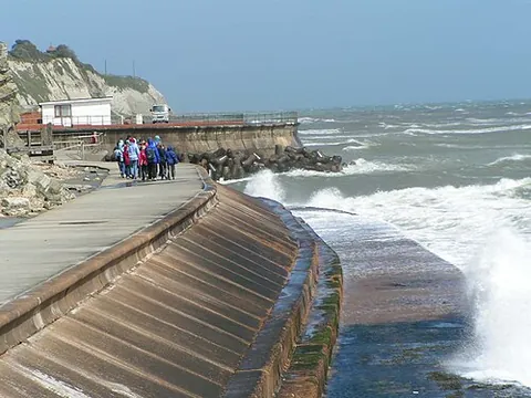 seawall: a coastal defence in the form of a wall or an embankment