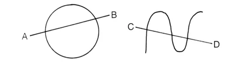 secant: a straight line that intersects a curve at two or more points