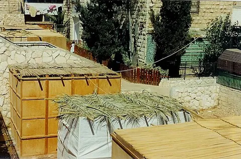 sechach: the roof of a sukkah, made up of leaves or branches