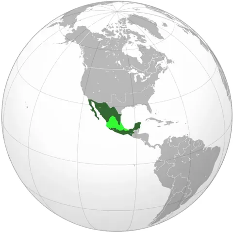second mexican empire: a constitutional monarchy from Mexico