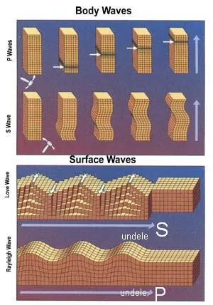seismic wave: any of several forms of vibrational waves that travel through the Earth as the result of an...
