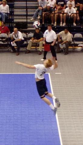 serve: to be a formal servant for (a god or deity); to worship in an official capacity