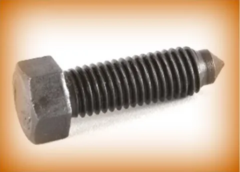 set screw: any screw used to hold or adjust a setting, via fixation in a certain location or position:...