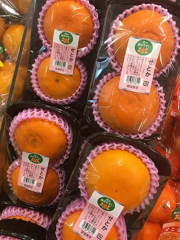 setoka: a cultivar of tangor (tangerine/orange hybrid, Citrus reticulata × Citrus sinensis)