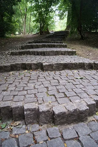 sett: the system of tunnels that is the home of a badger
