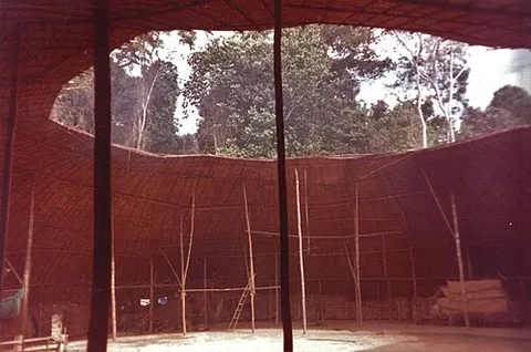 shabono: a communal hut built by the Yanomamo, traditionally of thatched palm leaves and wood and divided...