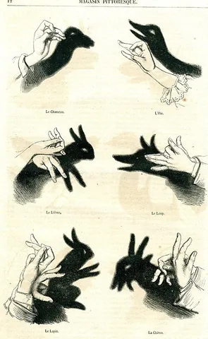 shadowgraphy: the creation of shadowgraph images