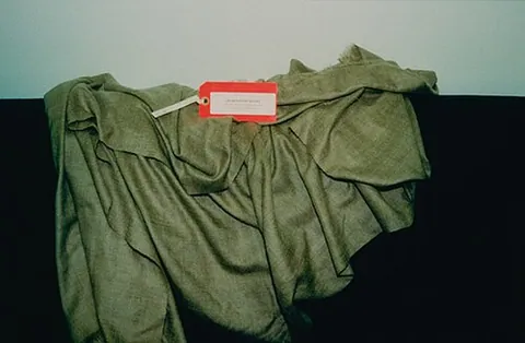 shahtoosh: a light but warm Kashmiri shawl made with hair from the chiru, or Tibetan antelope (Pantholops...