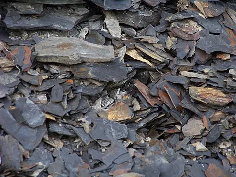 shale: a shell, scale or husk; a cod or pod