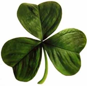 shamrock: the trefoil leaf of any small clover, especially Trifolium repens, or such a leaf from a...
