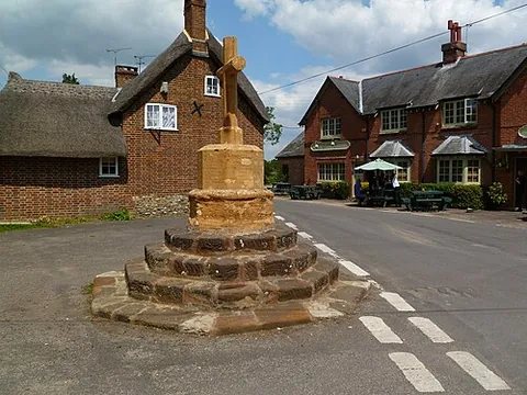 shapwick: a village and civil parish (served by Pamphill and Shapwick Parish Council (Group)) in Dorset,...