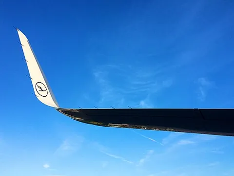 sharklet: a small or young shark