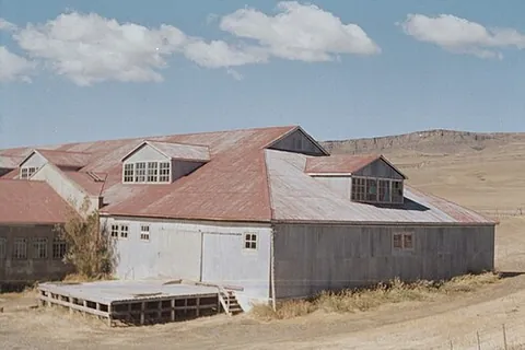 shearing shed: a building in which sheep are sheared
