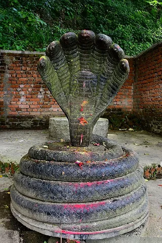 sheshnaga: the king of all nagas and the serpent upon whom Lord Vishnu reclines