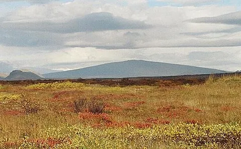 shield volcano: a large volcano, with shallow-sloping sides and a flattened dome, formed of successive eruptions of...