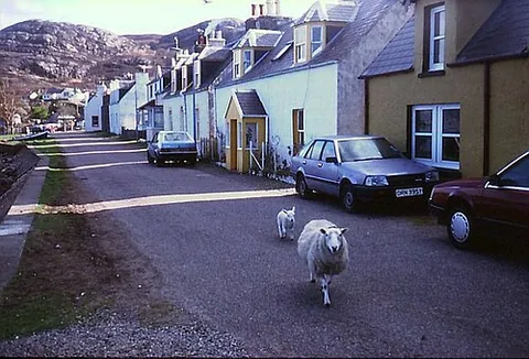 shieldaig: a village on Loch Shieldaig, Loch Torridon, Wester Ross, Highland council area, Scotland (OS grid...