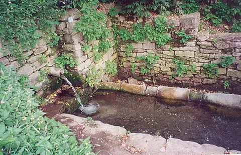 shipot: an underground water source that runs constantly. A common source of fresh drinking water in...