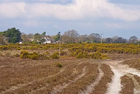 shirley holms: a locality and named road in Sway parish, New Forest district, Hampshire, England (OS grid ref...