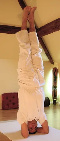 shirshasana: the pose wherein the body is completely inverted, and held upright supported by the forearms, while...