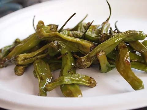 shishito: a sweet Japanese pepper, a cultivar of the species Capsicum annuum