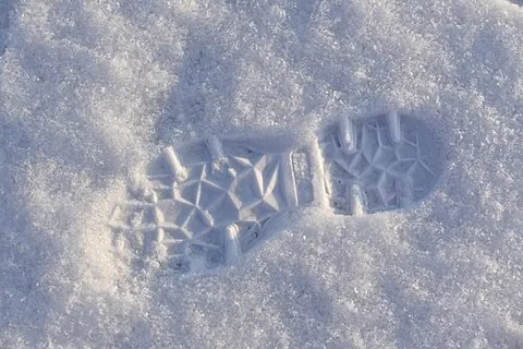 shoeprint: the impression (footprint) left by a shoe
