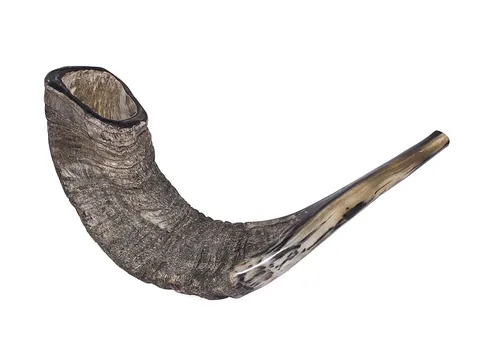 shofar: a ram’s-horn trumpet, used for Jewish ritual purposes