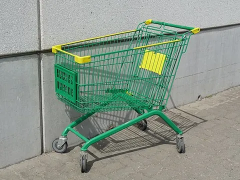 shopping cart: a conveyance used to carry groceries and other items while shopping in a store