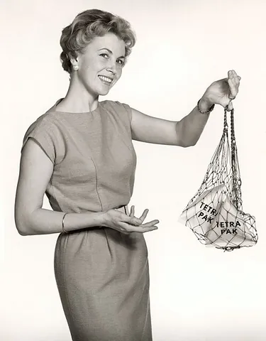 shopping net: a bag of network used to carry shopping items, especially groceries