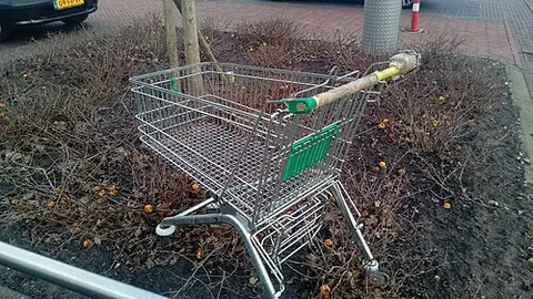 shopping trolley: a shopping cart