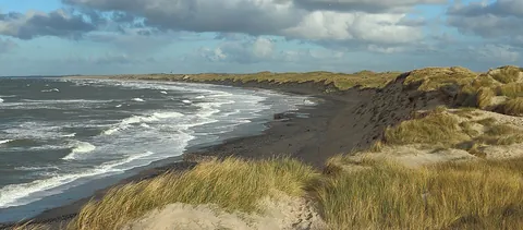 shore: land adjoining a non-flowing body of water, such as an ocean, lake or pond