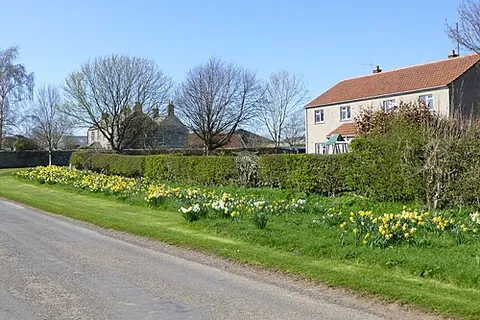 shoreswood: a hamlet and civil parish in northern Northumberland, England (OS grid ref NT9446)