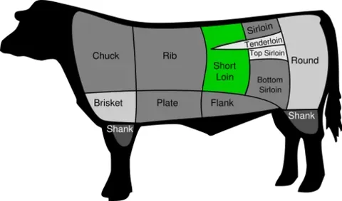 short loin: a cut of beef from the hind quarters of a steer or heifer, behind the ribs, including the top loin...