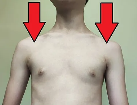 shoulder: the part of the human torso forming a relatively horizontal surface running away from the neck