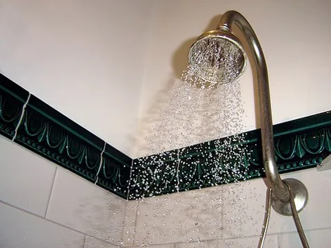 shower rose: a perforated nozzle that sprays water on a bather, sometimes in adjustable patterns