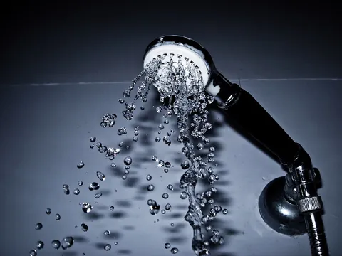 showerhead: a perforated nozzle that showers water on a bather, sometimes in adjustable patterns