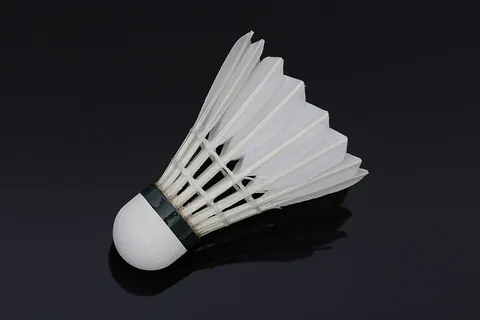 shuttlecock: a lightweight object that is conical in shape with a cork or rubber-covered nose, used in badminton...