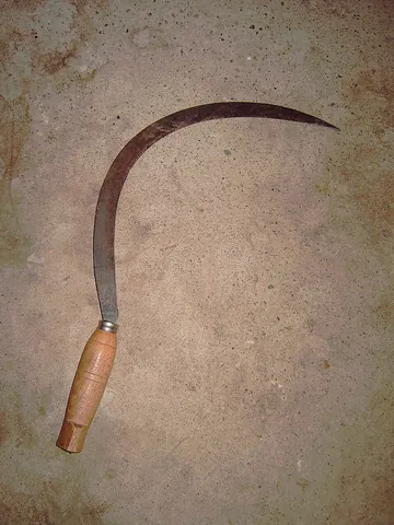 sickle: an implement having a semicircular blade and short handle, used for cutting long grass and cereal...