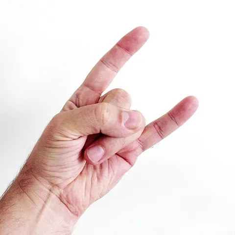 sign of the horns: a hand gesture in which the index and little finger are extended while the middle and ring fingers...