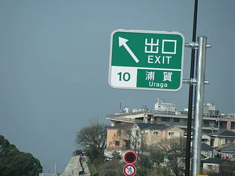 sign: a visible fact that shows that something exists or may happen